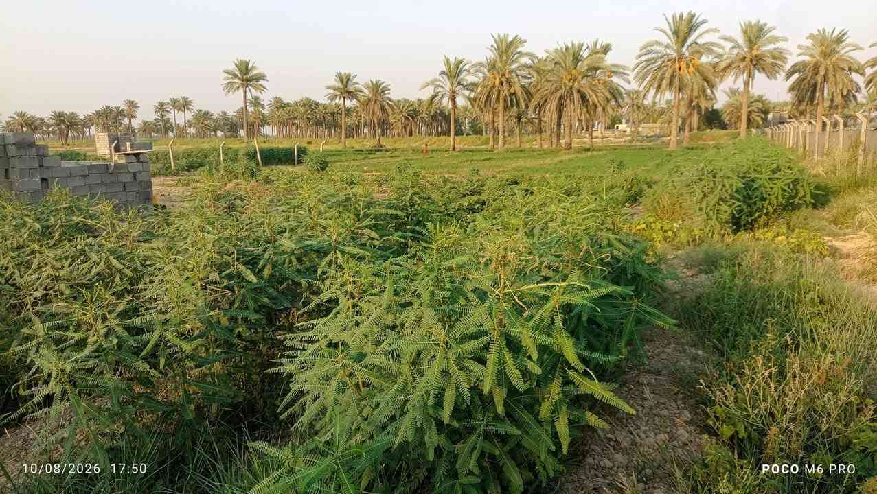 السلام عليكم بيت للبيع مع ارض مساحتها 2 دونم ونصف  الاستفسار الاتصال على الرقم
‏‪***********‬‏

‏‪***********‬‏
المكان اللطيفية كيلو 18
