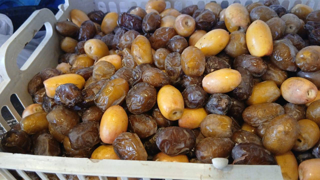 تمر بريم • وزن ١٤.٥ • كوفة خلف كراج الحله