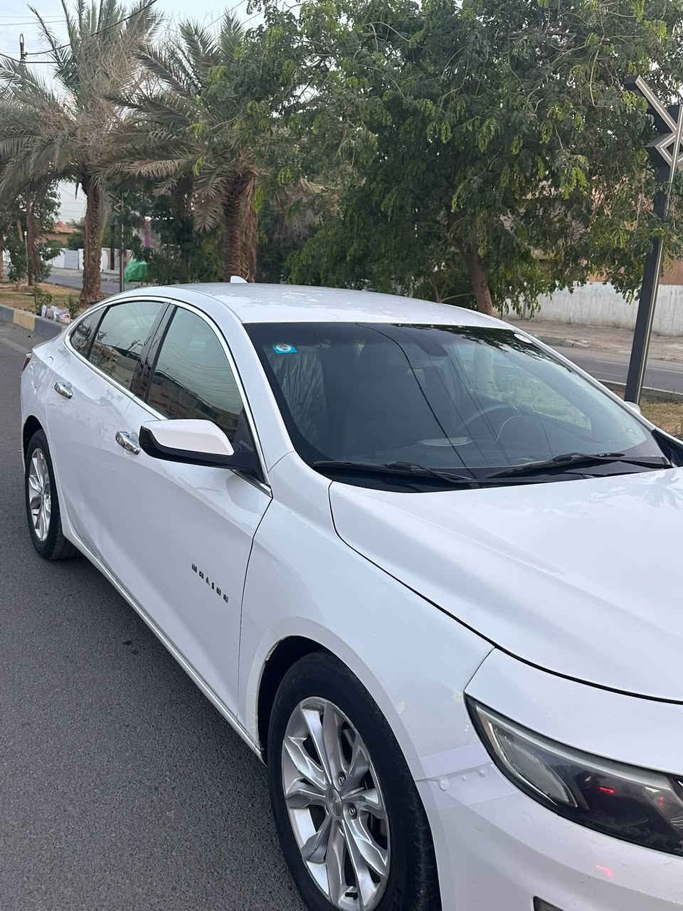 ماليبو • 2019 • بغداد الشعب