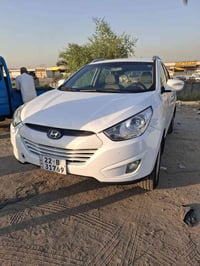 توسان خليجي • ٢٠١٣ • بدون صبغ