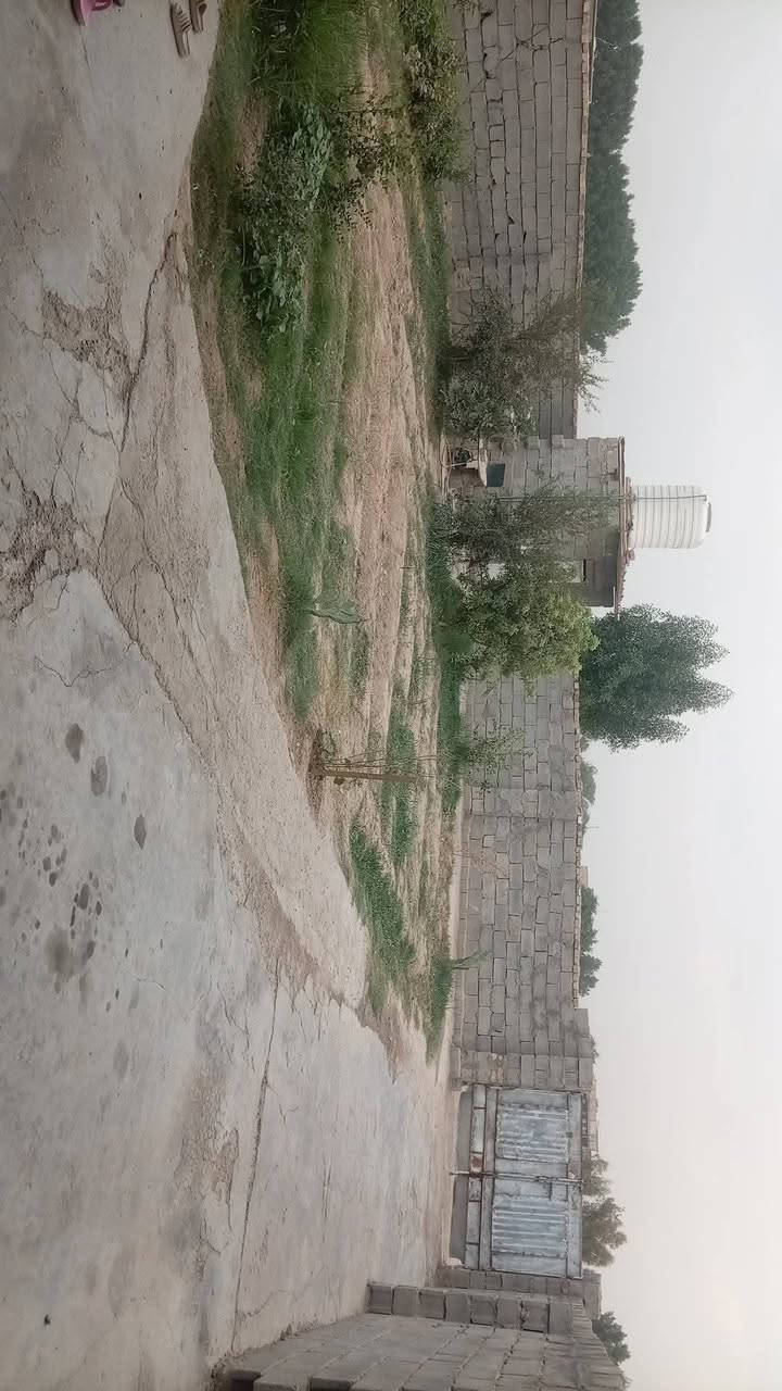 حي عداي • ٣٥٠م • حديقة ١٤×١٤