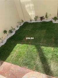 قص ثيل • زراعة وتقليم • تأسيس حدائق