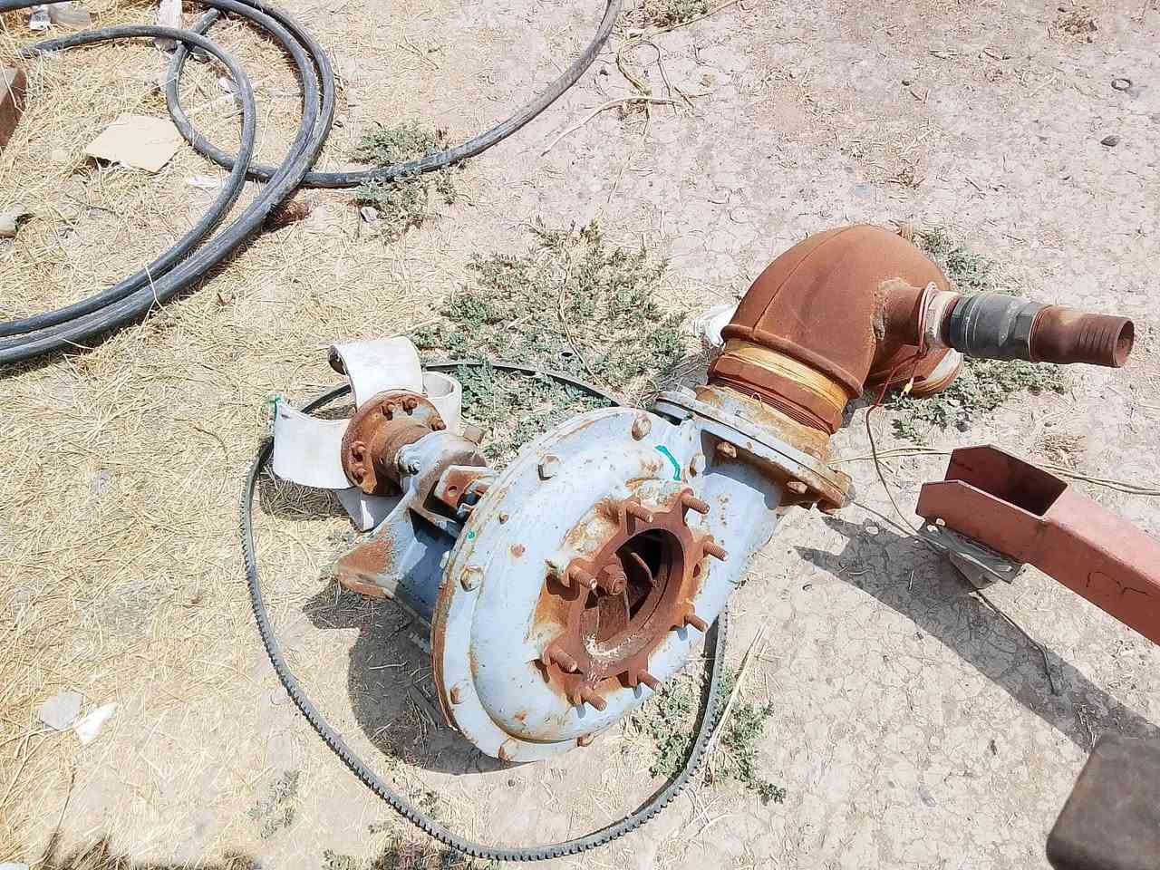 للبيع خنازير ماء 6×6
المكان بغداد التاجيات 
***********
