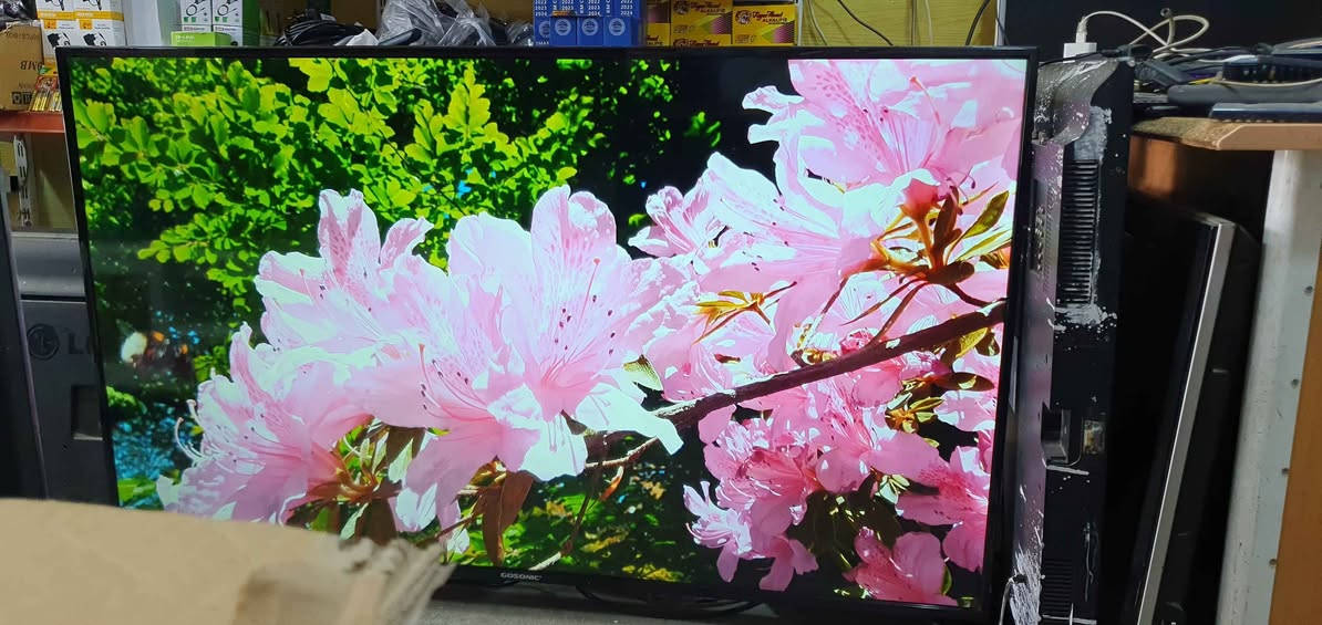 تەلەفیزۆنی گۆسۆنیک سمارت 4K سەتەلایتی تێدایە
قەبارە 65 خاوێنە نرخی 380000 بەشەرتە لە هەولێرە
پەیوەندی بکەن بە واتساپ و ڤایبەر *********** أربيل, العراق

