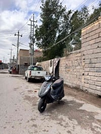 ماكس عدلة • مجال قليل • بصره