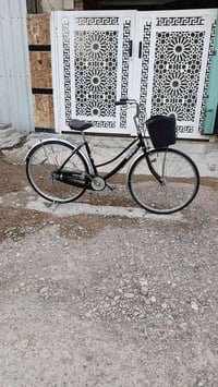 باسكل للبيع العنوان بغداد الدورة شرطة ابو طيارة رقم الهاتف 07710940512