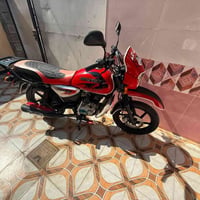 بوكسر • ٢٠٢١ • رقم وسنوية