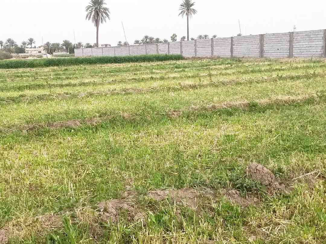 دونمين طابو ملك صرف ثاني يوم تحويل بسمك كاملة المواصفات كهرباء بوري مي جواها أو تبليط لعدة واصل مكانها أبو غريب غرب جامع عثمان بن عفان للستفسار (***********)👍
