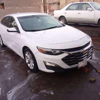 ماليومديل • ٢٠٢١ • رقم بصره