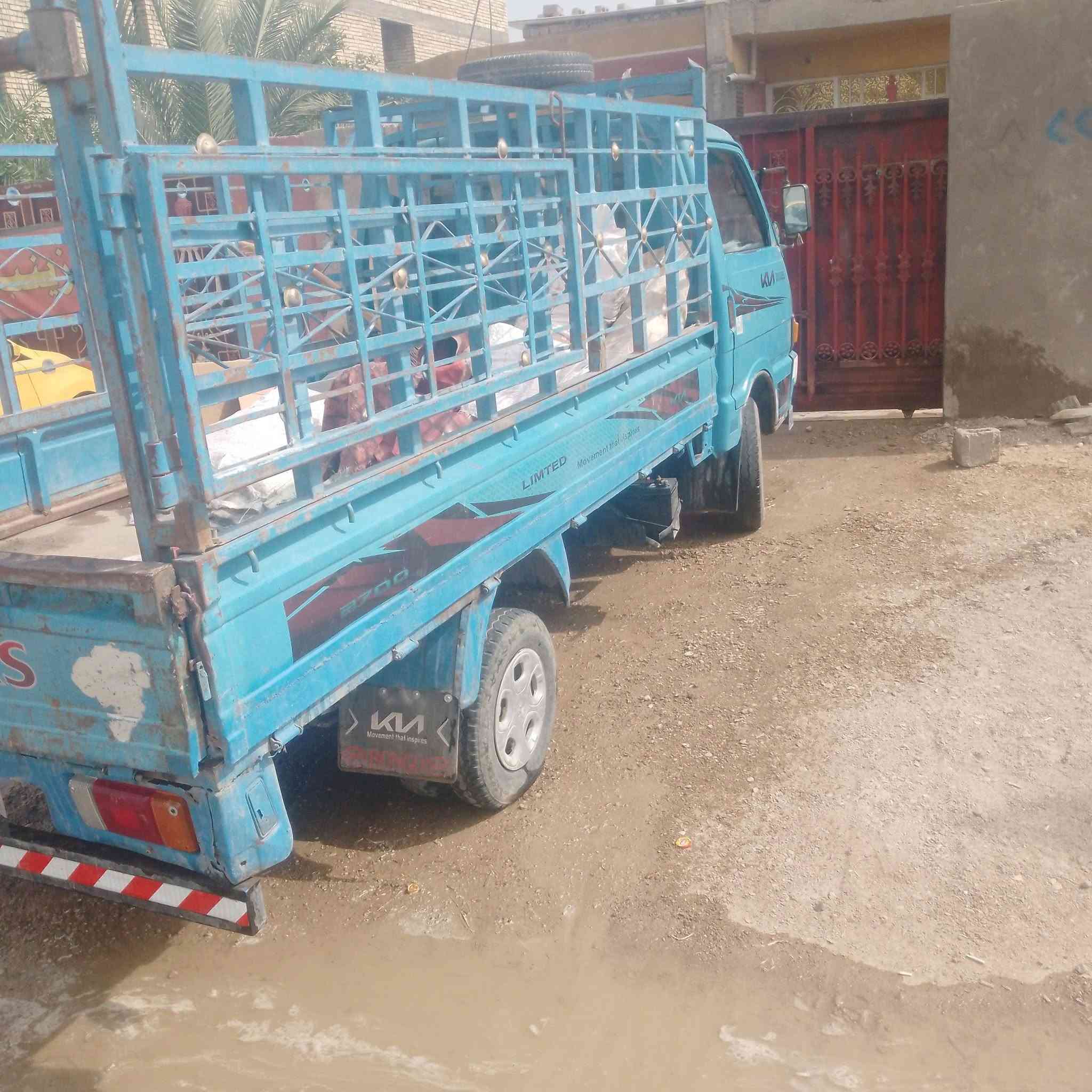 حمل • ٨جنكال • قير اكسن