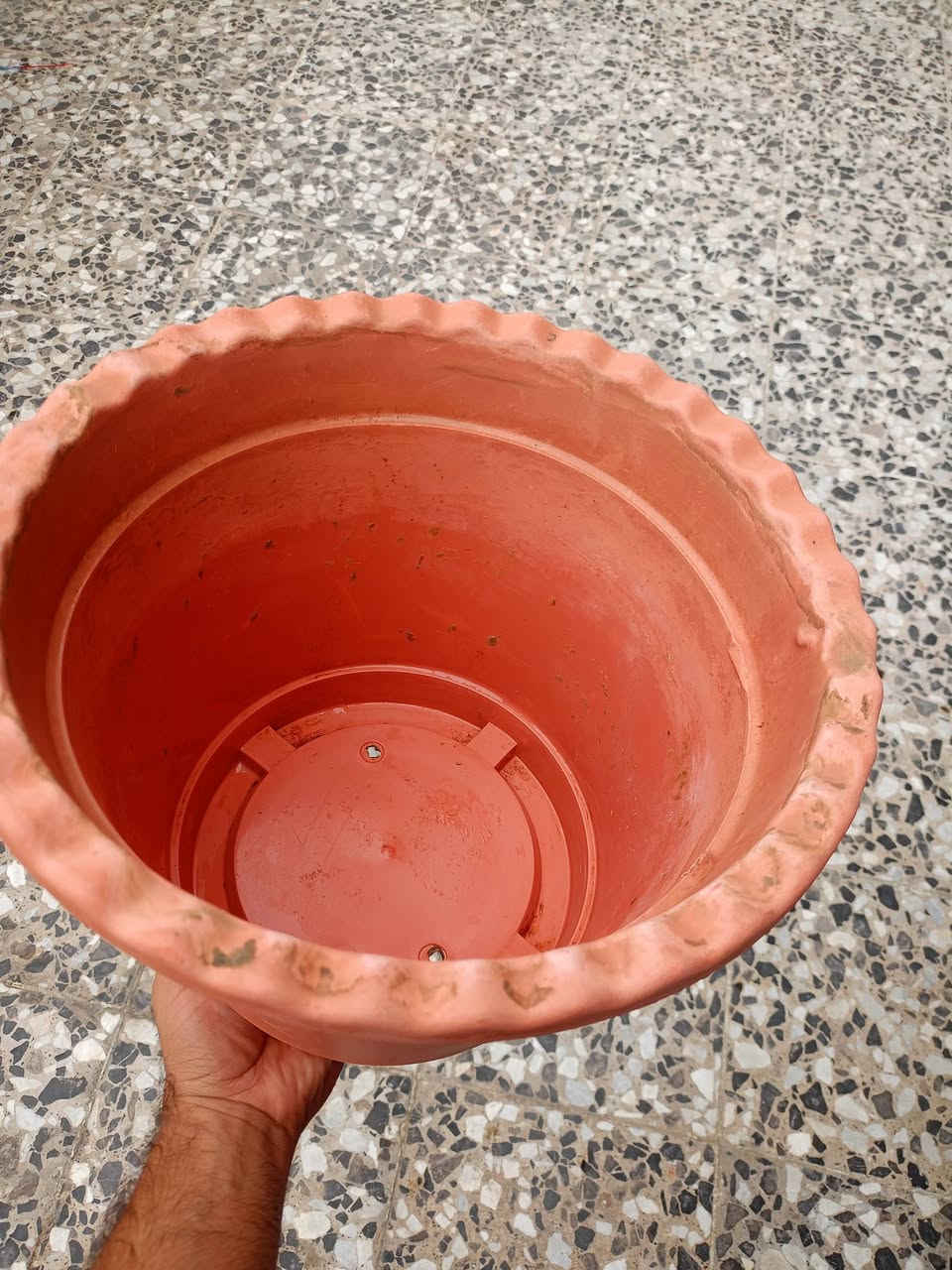 صباريات • سندان ٢٧سم • توصيل التاجيات