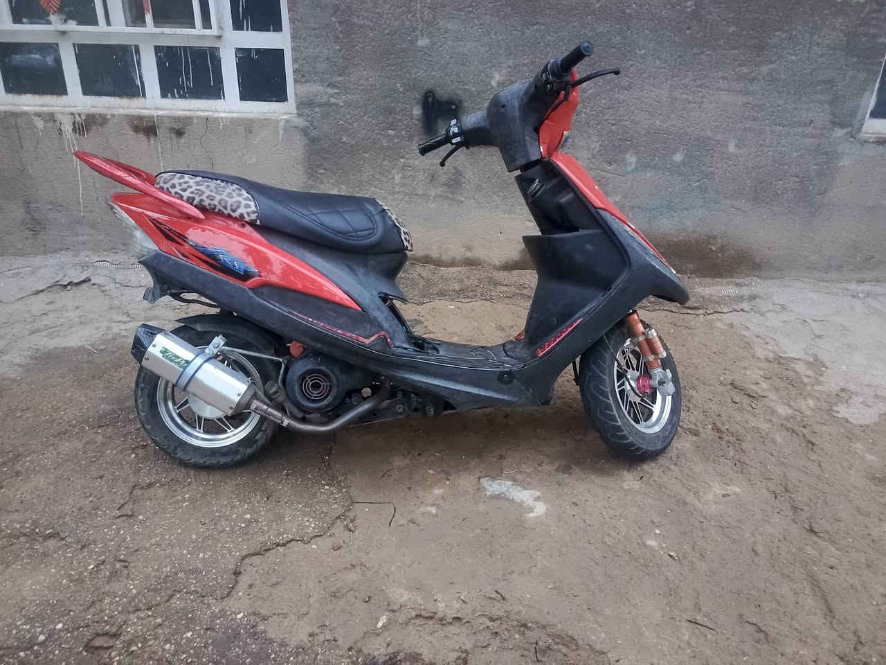 ماكس عدلة • سلف • ٥٥