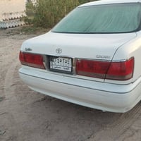 ملكه • تبريد ثلج • أوراق سنوية