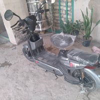 دراجة شحن • حجم ١٤ • شحن ممتاز