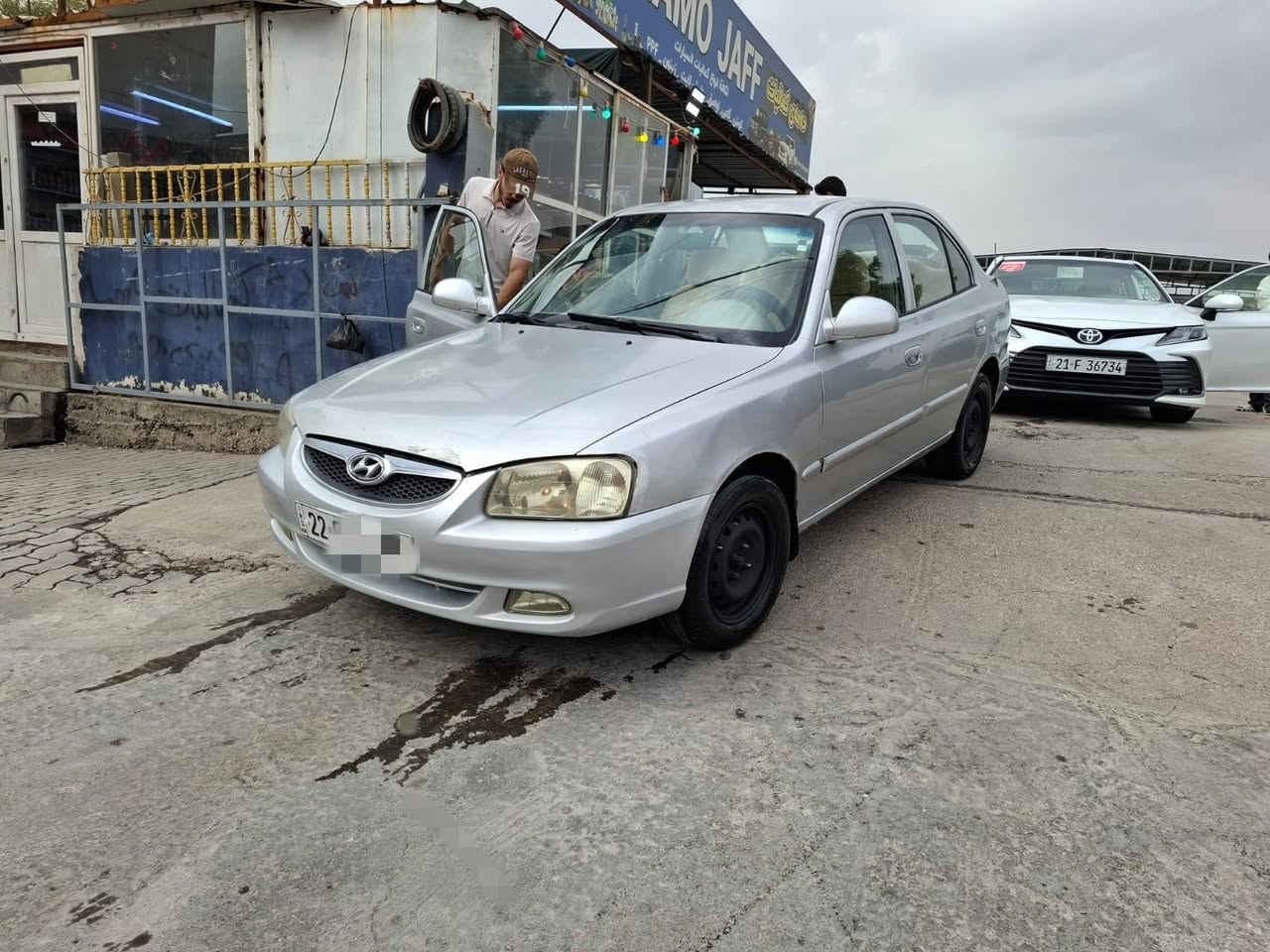 فيرنا • ٢٠٠٩ • رقم اربيل