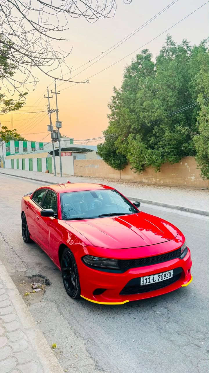 جارجر SXT. 2019
مكينه 3600 تو ويل

سعر 159
حادثه فقط جاملغ ب امريكا
بل عراق بيه مكانت صبغ ابيع حزام
صور حادثه بل منشور كلش بسيط

موصفات 
1-شاشه كبيره
2-تحكمات ستيرن
3-رادارات جانبيه
4-خزن ميموري 
5-ستيرن كهرباء
6-كشنات كهرباء 
7-كشنات جلد +تدفى تبريد 
8-لايت زينون
9-كير مكينه كله جاهز
10-تبريد ثلج ❄️ 
11-حداديه جديده
12-اكسل جديد
13-رقم بغداد نكليزي
هزه وسنويه ورقام جدد

مكاني كربلاء 
رقمي ***********

( فقط بيع بدون مراوس وشراي يتصل على رقم)
