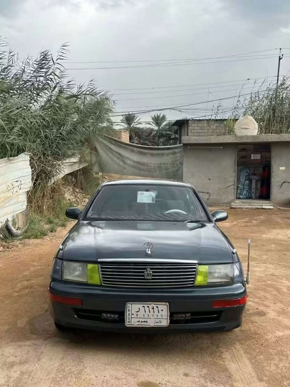 بطه • موديل ١٩٩٢ • مصبوغه