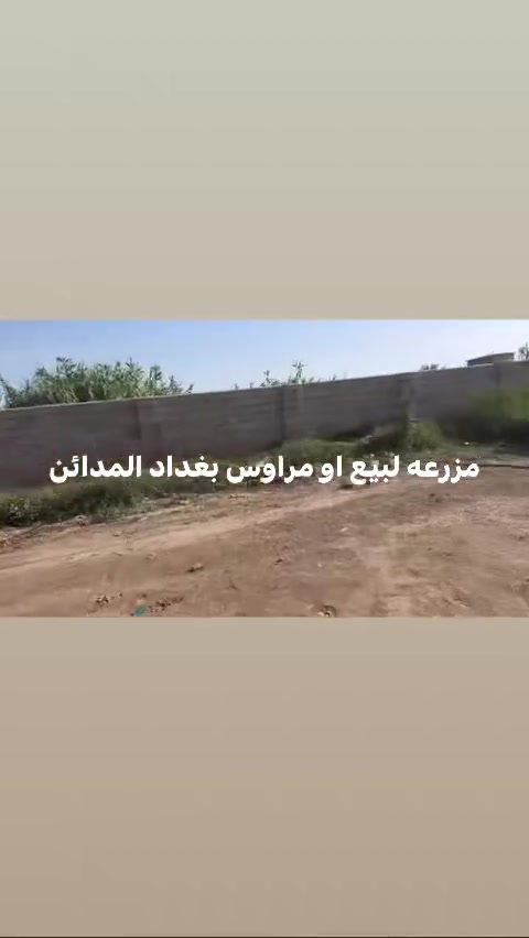 مزرعه لبيع او مراوس بغداد المدائن
***********
***********
السعر 300 مليون 
تابعه ع الوقف الشيعي
