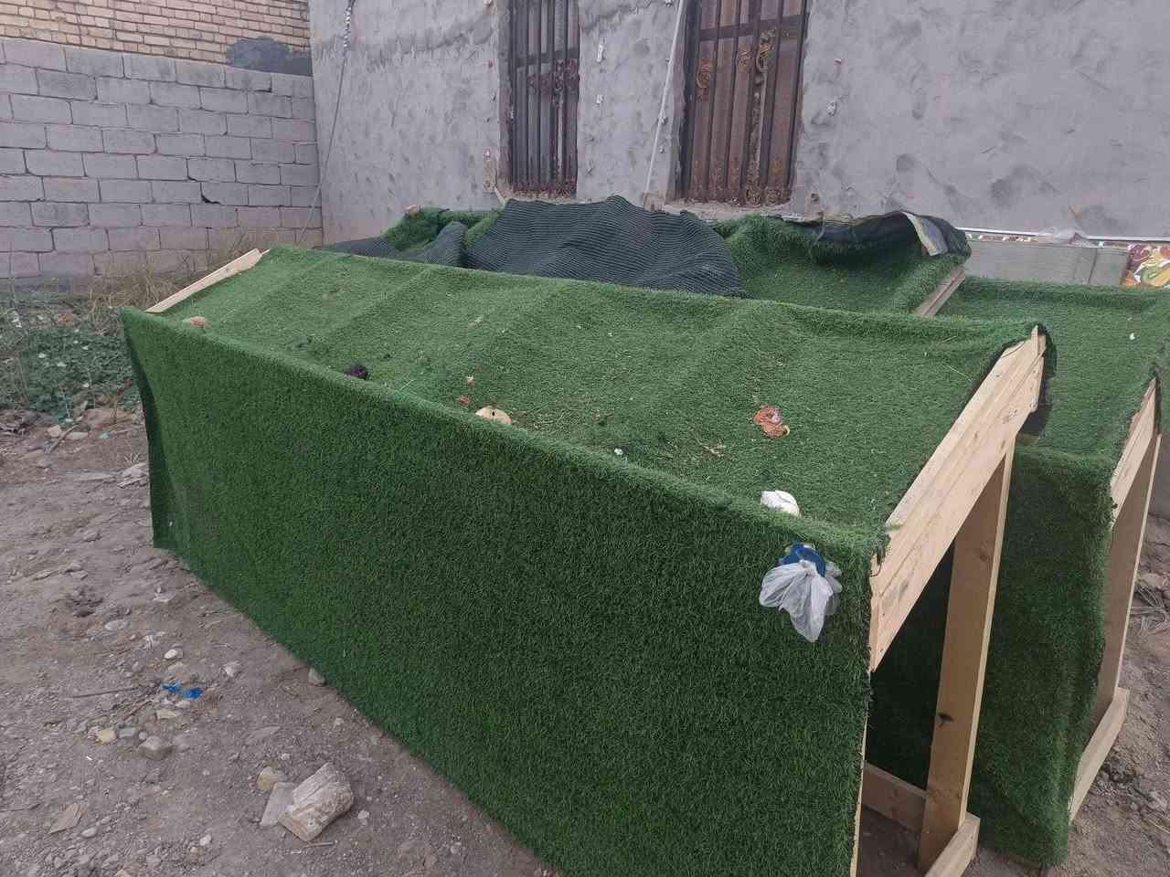 ميوزه مال مخضر تفصال جديد طول الواحد 3متر ورتفاع متر1العدد2وياهن واحد طولاني صطحي والشراي بي خير ويدلل يخابرني ومايكون خاطره له طيب صارلهن اقل من الشهر من مفصلهن ***********
