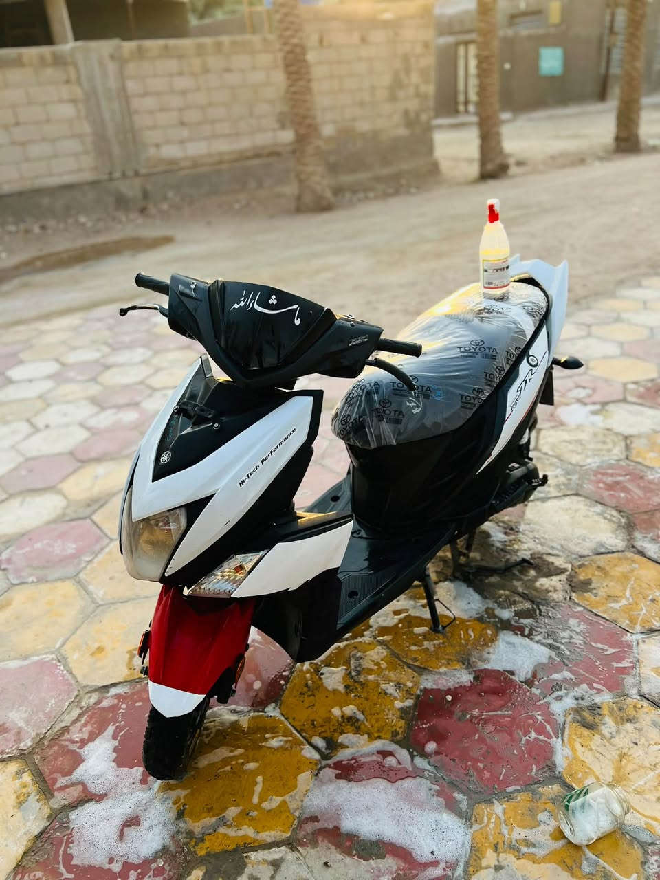 ZR19 • نضيف • فول