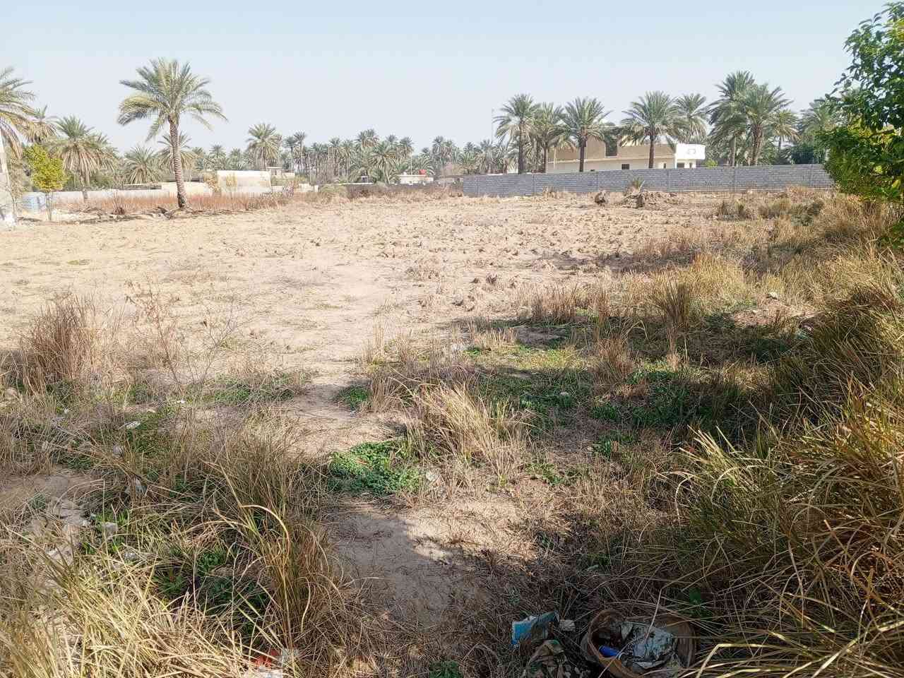 للبيع
قطعة أرض 440 متر زراعي سند 25 في الدورة البوعيثة 
قرب جامع التوبة واذا من طريق الهواشة بعد بانزين خانة العهد 
واجهة 10 نزال 44 خدمات مي و كهرباء و المنطقة كلها تبليط  بس الفرع مال الأرض سبيس ومنطقة سكنية 
سند مشترك الي يشتري ينضاف اسمه بالسند
اني صاحب الارض 
للاستفسار اكثر واتساب فقط ‏‪***********‬‏
