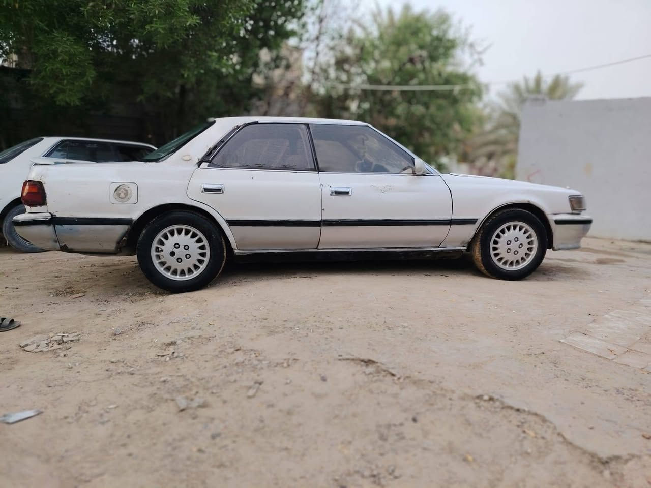 شيرز • ٩٤ • رقم ديالى