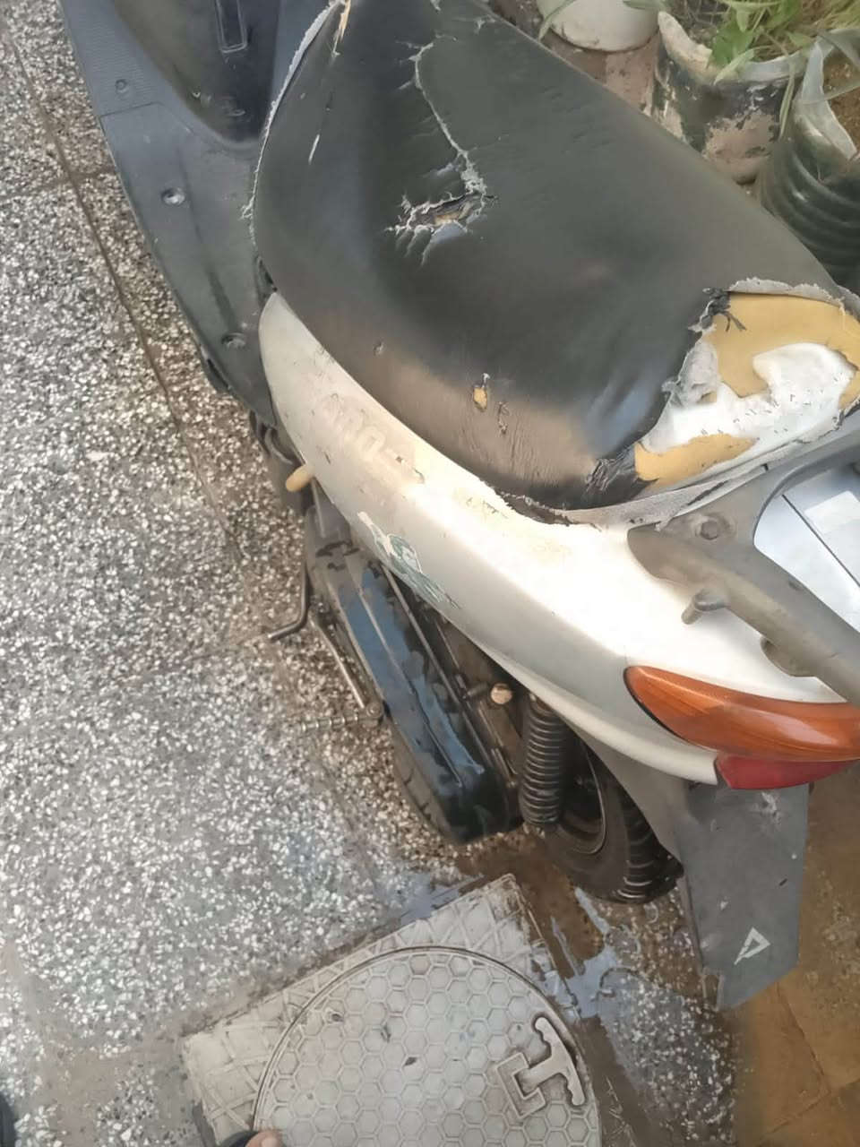 السلام عليكم عصفوريه للبيع بيها محرك يشگ الگاع مكاني بغداد الكرخ 150 الف بيها مجال 
***********
