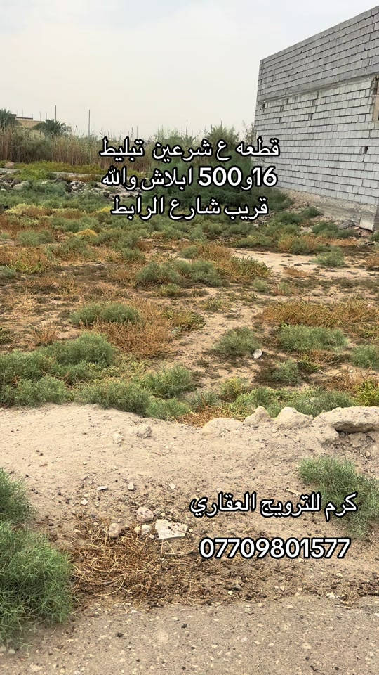 كربلاء • قطعة ع شرعين • قريب شارع الرابط