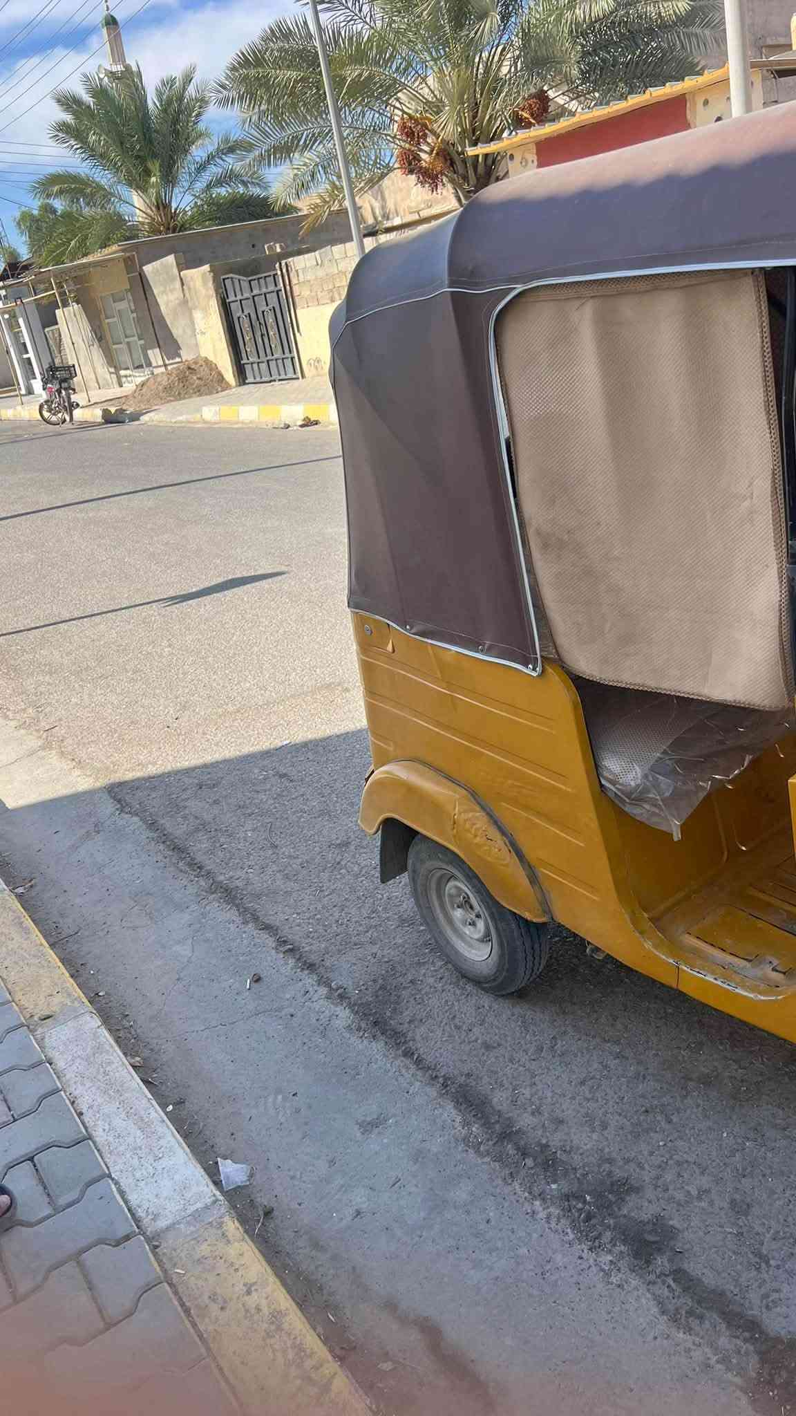 تكتك • موديل 19 • ديالى دلي عباس
