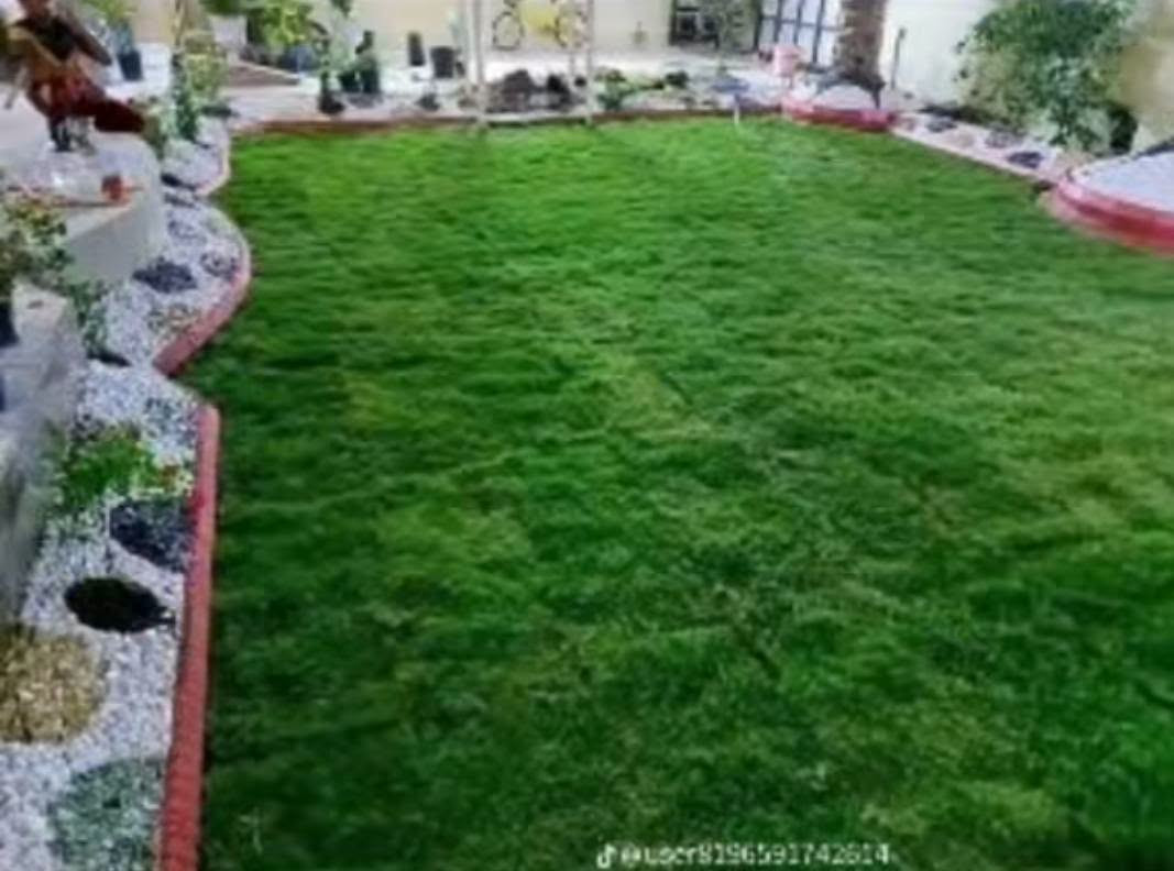 +964 77🌿 المزارع الخضراء – الأول في الثيل الطبيعي

متخصصون بتوفير أجود أنواع الثيل الطبيعي:
✅ هندي – ✅ أمريكي – ✅ فرنسي
جودة مضمونة وتوصيل متوفر إلى جميع محافظات العراق 🇮🇶

📞 للاستفسار أو الطلب اتصل بنا الآن:
***********
***********0 808 8255

نص مكتوب في الصور:
- @user8196591742614