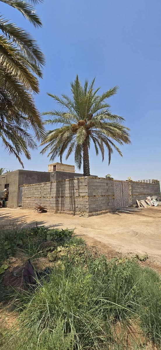 الديوانية السدير • ١٠ دونم • ٣ بيوت وبستان