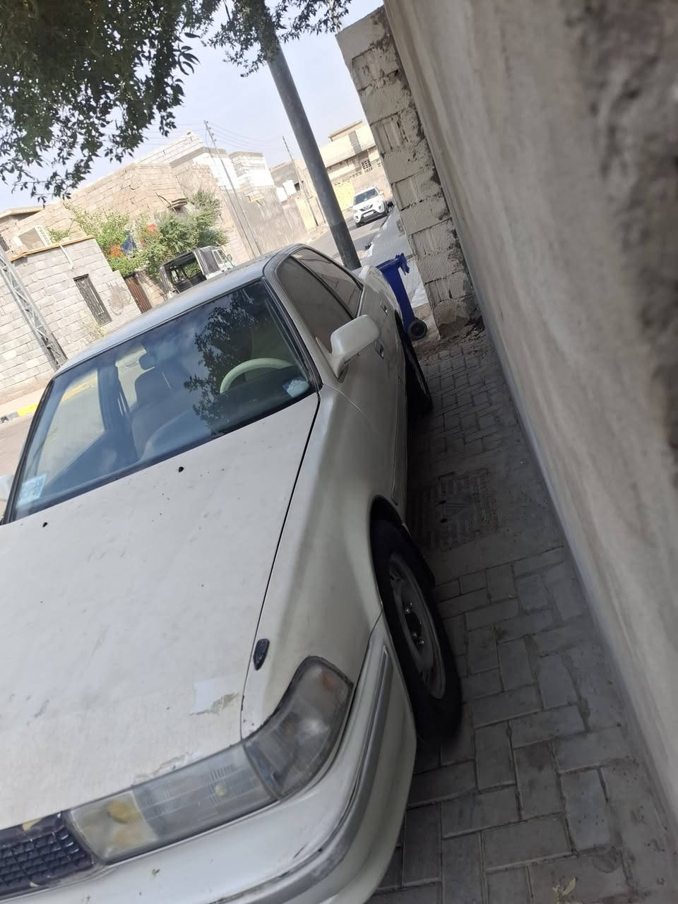 مكفوله • طخه خلفي • رقم بصره