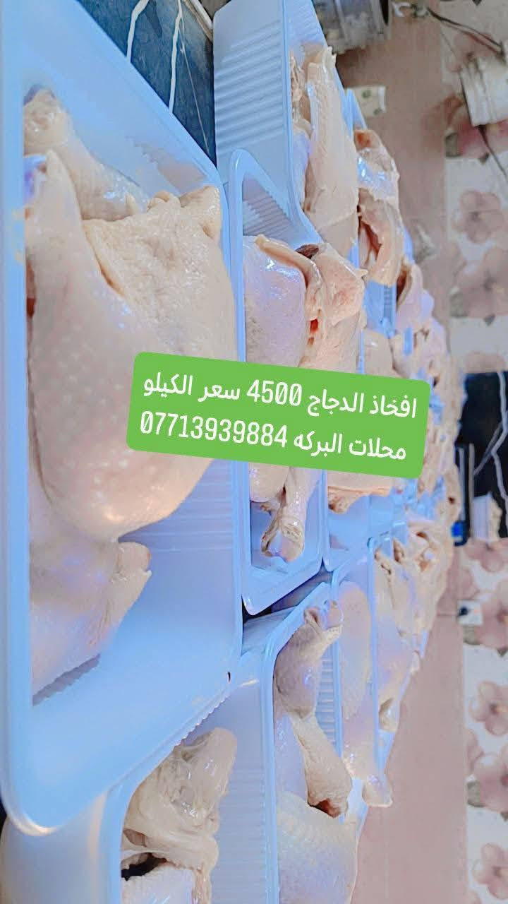 دجاج خشن • درجة أولى • توصيل دلي عباس