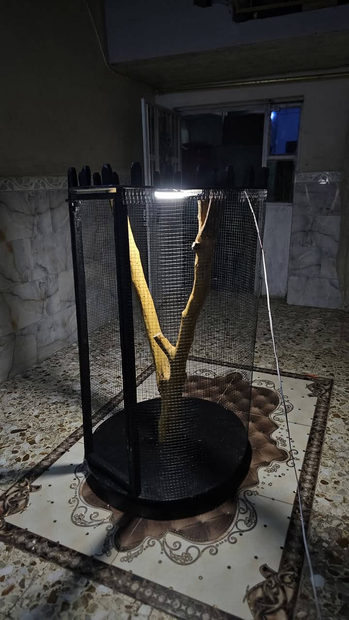 برج طيور حب فناجس كوكتيل كناري على شكل قلعه مصغرة ارتفاع 1.23 والعمق 79 انارة شمسي_ ابيض_ اوفايت_ داخله جذع شجرة طبيعي مطلي باللون الاسود المساعدة في الرؤية🦜🪸 السعر خاص وهذا رقمي ***********
