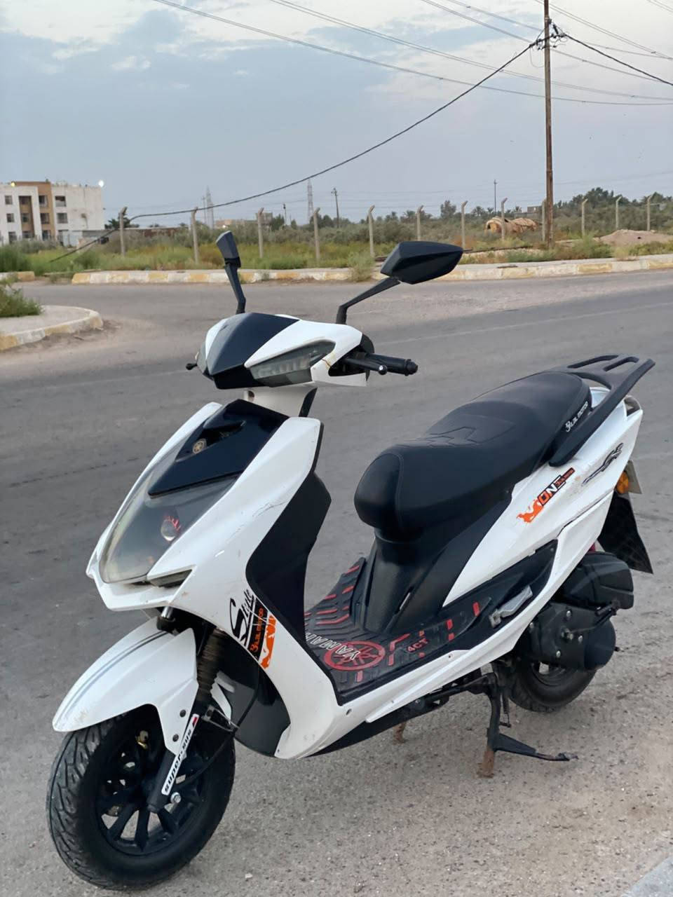 سكنز • صيني • ٢٠٢٤