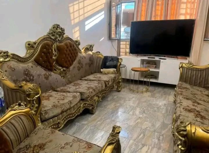 كنب • زان مصري • مستعجل