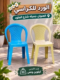 كرسي ايراني • فلات • شارع الجلود