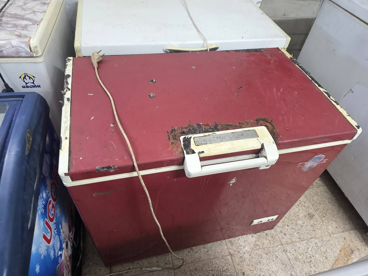 مجمدات • العمارة ميسان • شارع ابو شاكر