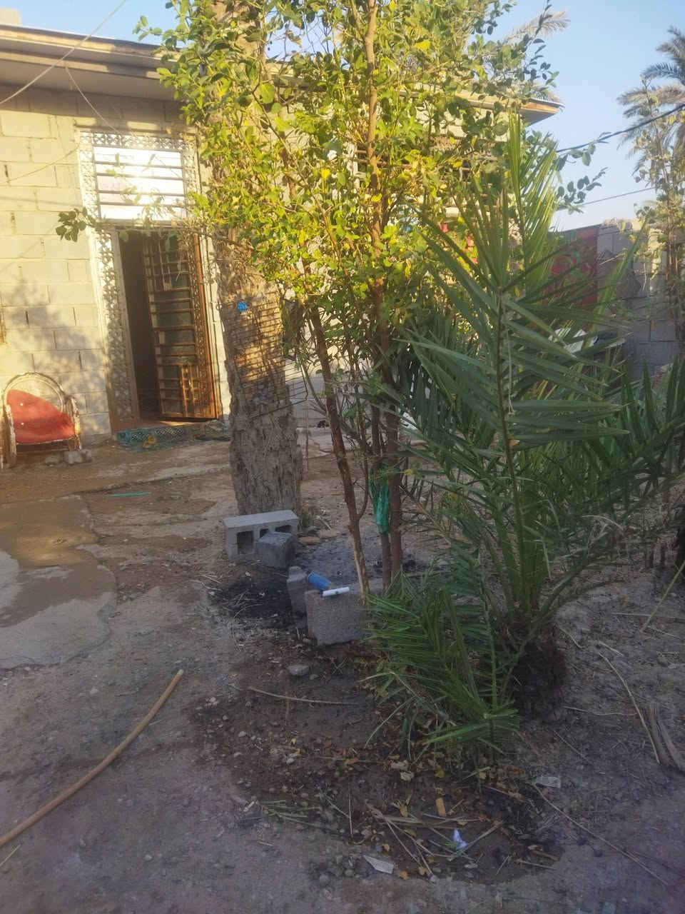دار سكن في ابي الخصيب طريق الصحراء وقف مسجل اصولي مساحة 200متر على ضفة نهر سعر 40 قابل للتفاوض تفاصيل أكثر تصال على رقم ***********
