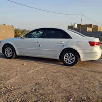 سوناتا ٢٠٠٩ • صبغ عام • مكفوله