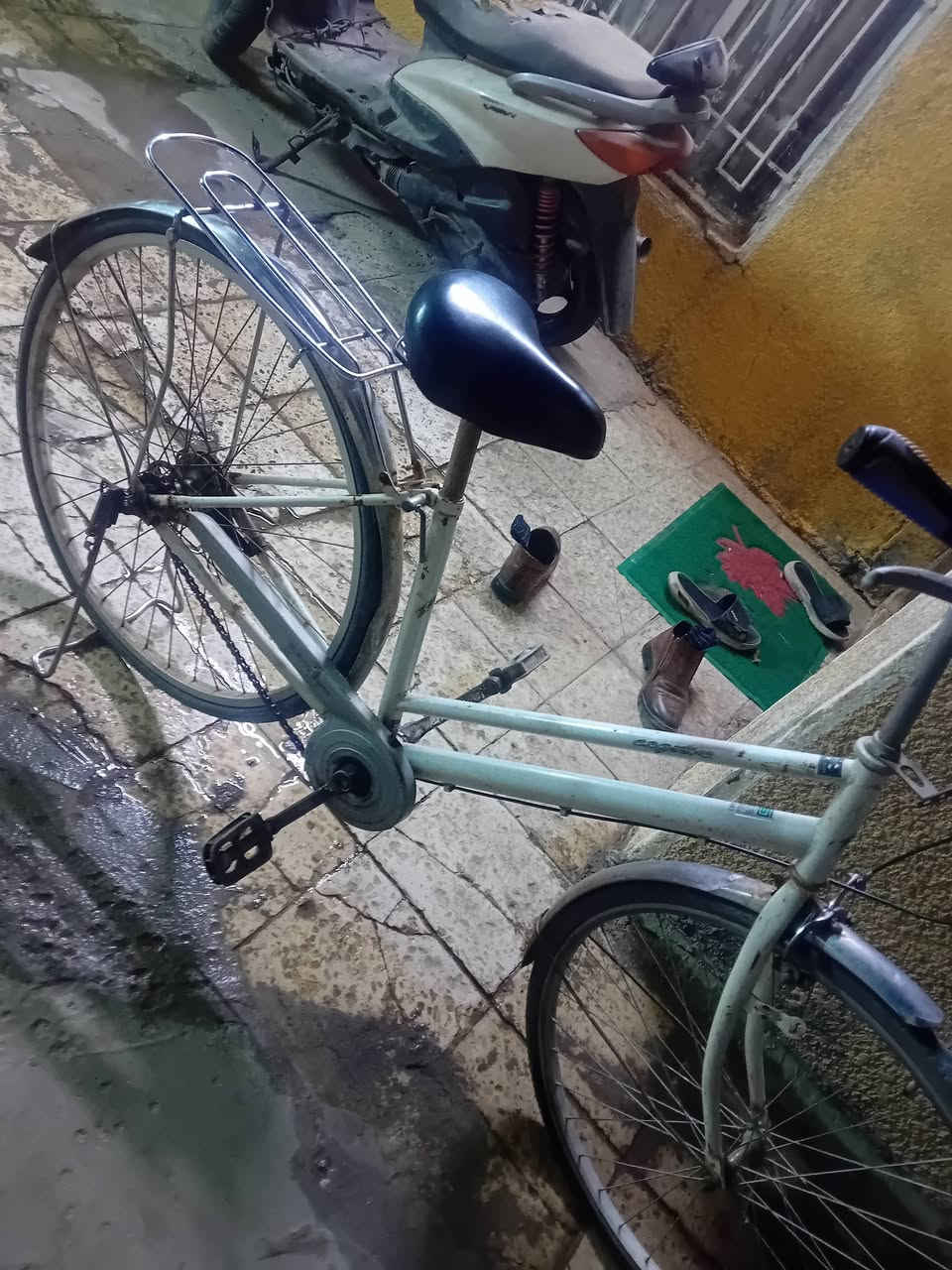 باسكل بناتي • ٢٧ • للبيع