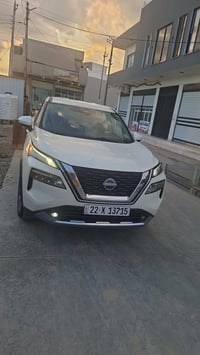 روج ٢٠٢٣ • ٤٥٠٠٠ • بدون صبغ
