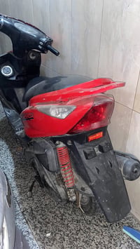 ثعلب • طافيه • كوم حديد