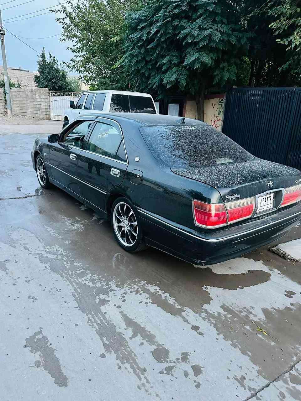 بشرط • بدون دعم • سيد صادق