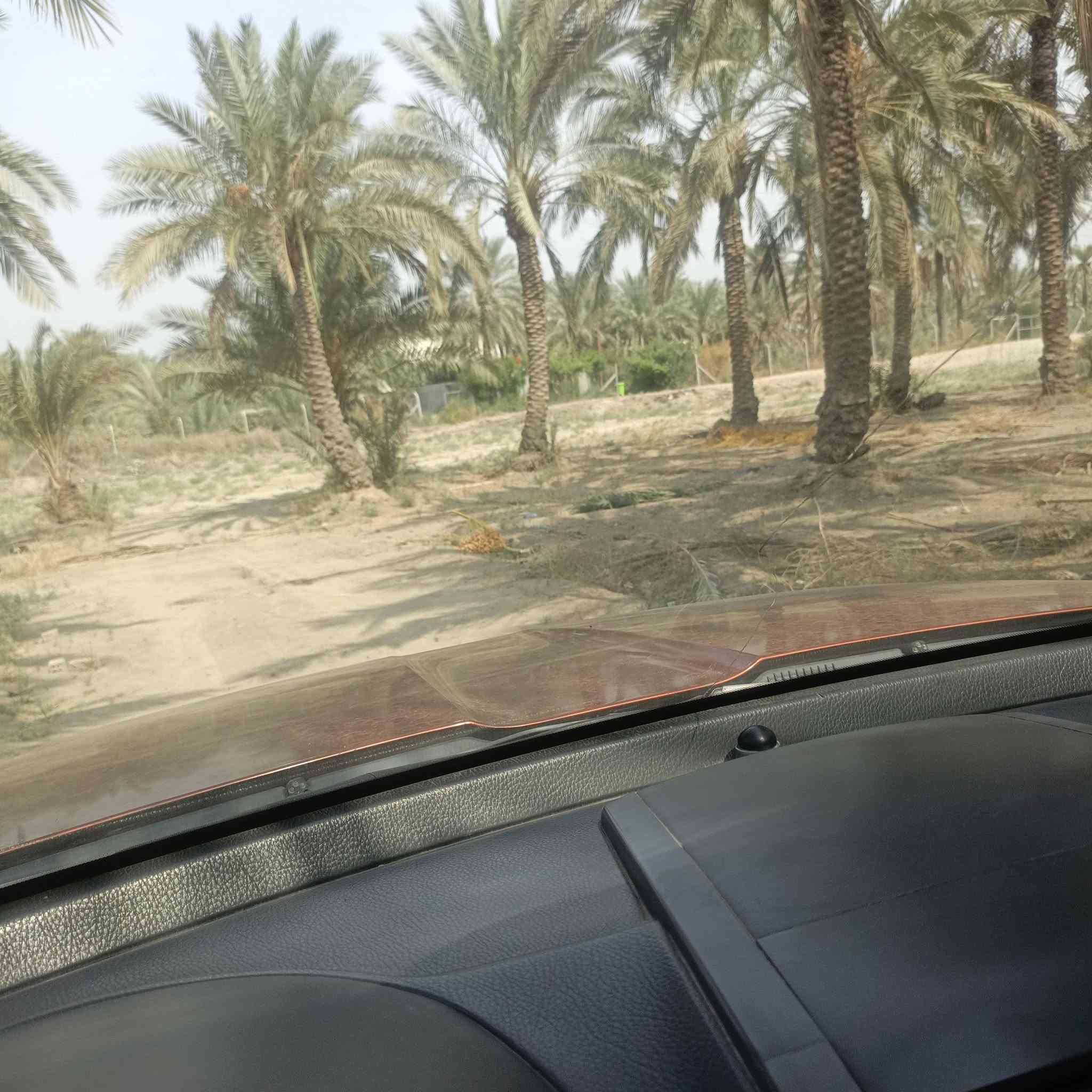 العماديه • طابو زراعي • ٥٩٠٠م