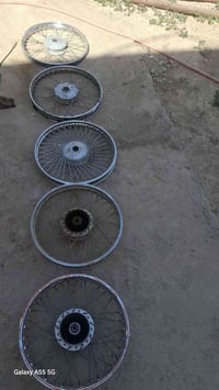 شلعة • تك ب ١٠