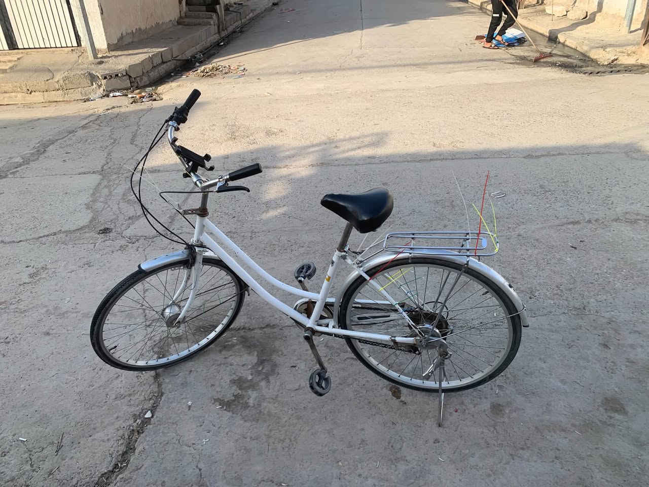 باسكال • ٦ نمر • نظيف