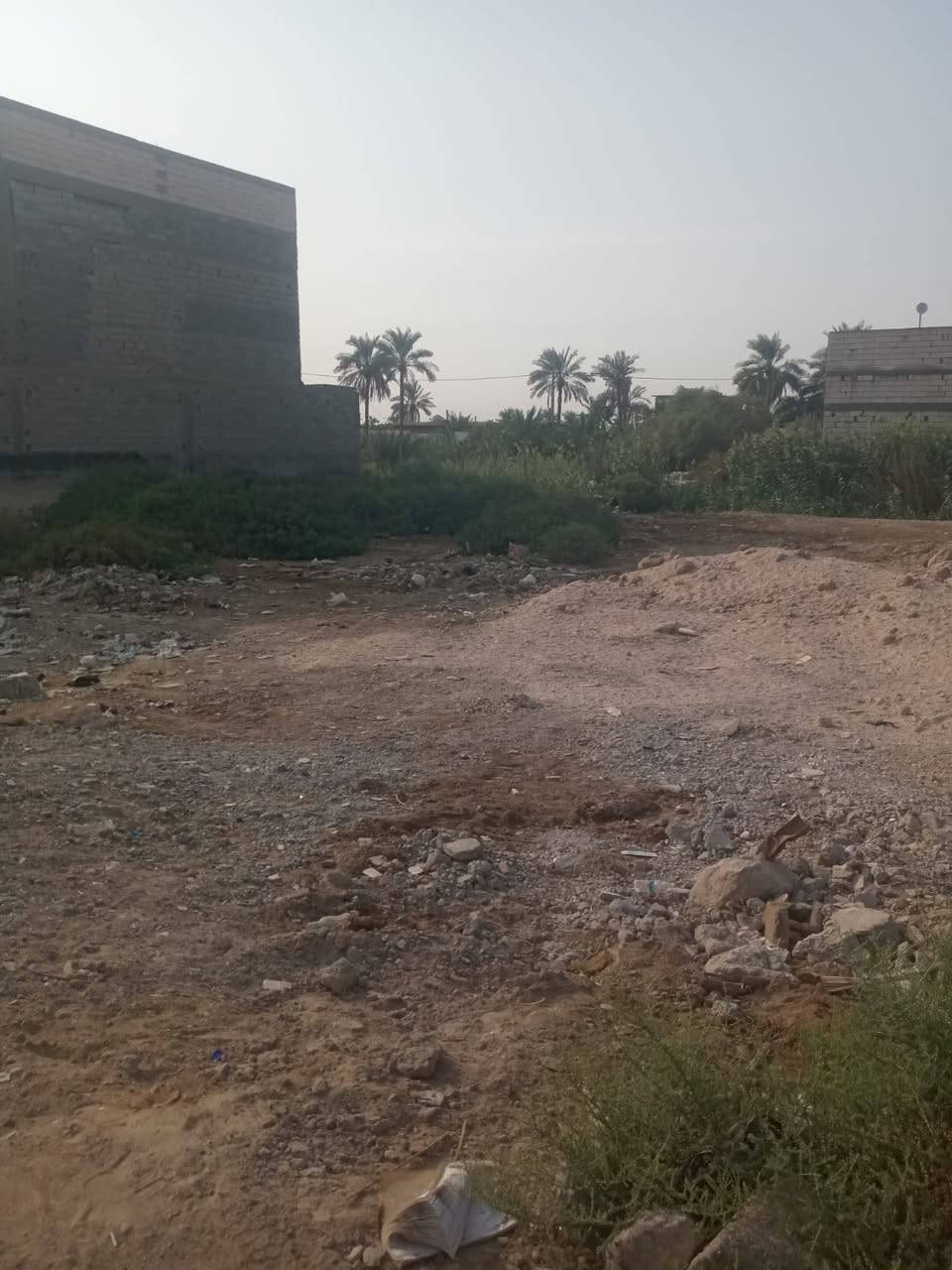 أبو الخصيب • ٥٥٠م • طابو زراعي
