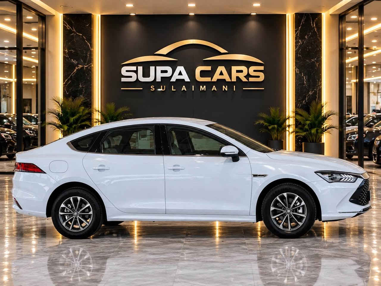 🚘🔥 BYD QIN PLUS 2025 — SPORT 🔥🚘

✨ زۆر تازە و پاکە ✨

🛣️ ڕۆیشتووە: 11,000 کم

🛠️ حاڵەتی ئۆتۆمبێل:
🔹 بێ بۆیاخ
🔹 بێ شوخت
🔹 تەنها یەک بستە PDR
🔹 ناوەوەی 3 ڕەنگ: قاوەیی 🤎 | بێجی 🤍 | ڕەش 🖤
🔹 شاشەی تەقلەیی 📱

💰 نرخ: 137 وەرەقە 🔥

📍 شوێن: سلێمانی

📞 بۆ زانیاری و پەیوەندی:
***********
*********** السليمانية, العراق
