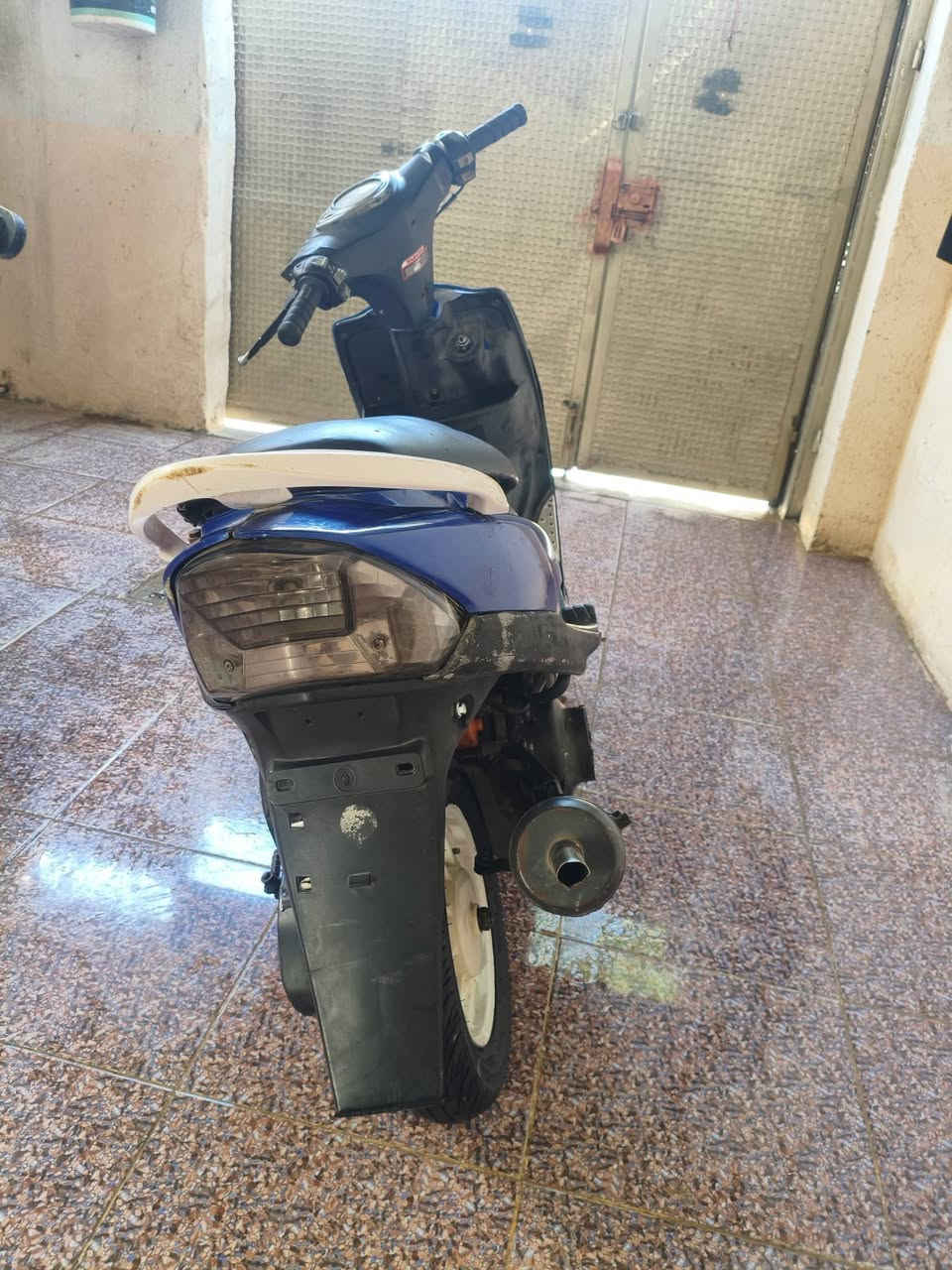 ماكس عدلة • بوشه ٤٩ • كلجات رياضي